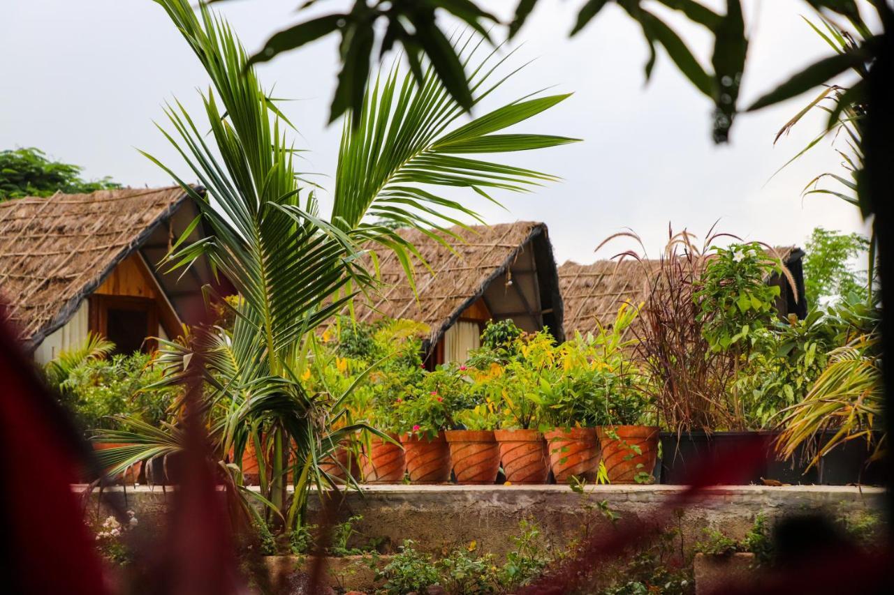 The Vintage Farm Mahiravani Екстер'єр фото